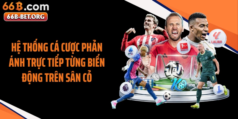 Hệ thống cá cược phản ánh trực tiếp từng biến động trên sân cỏ